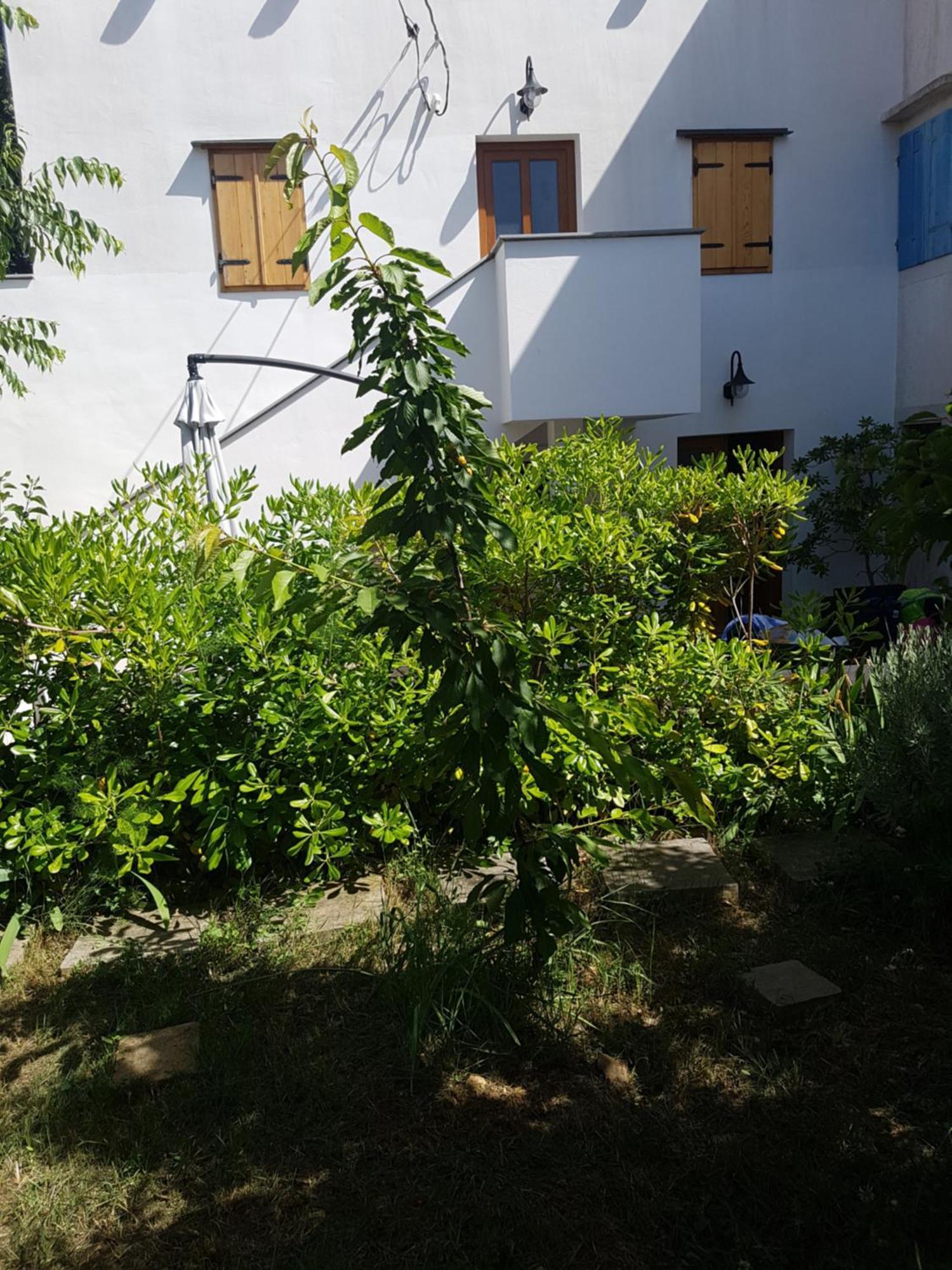 וולי לוסיניי Apartman Stella Maris מראה חיצוני תמונה